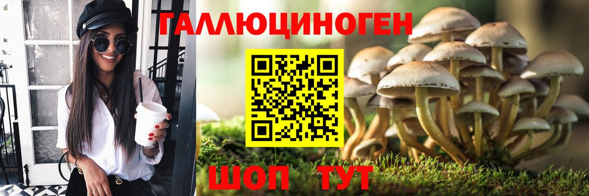 Раменское  Псилоцибиновые грибы ЛСД  Вход с VPN 