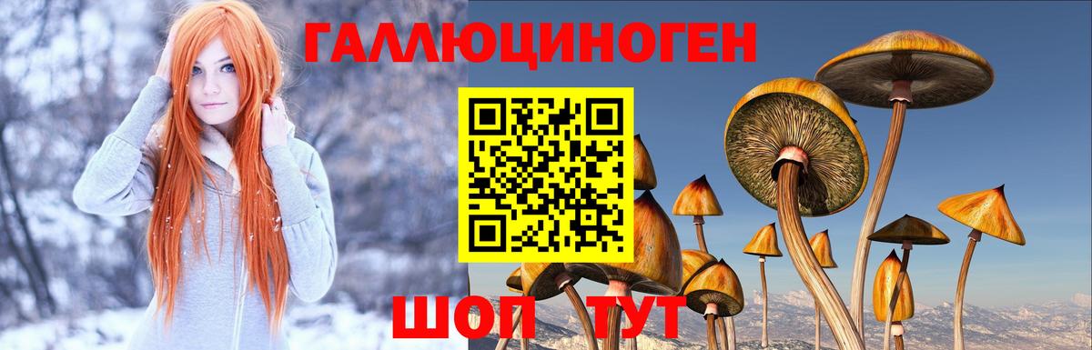 Галлюциногенные грибы ЛСД Раменское